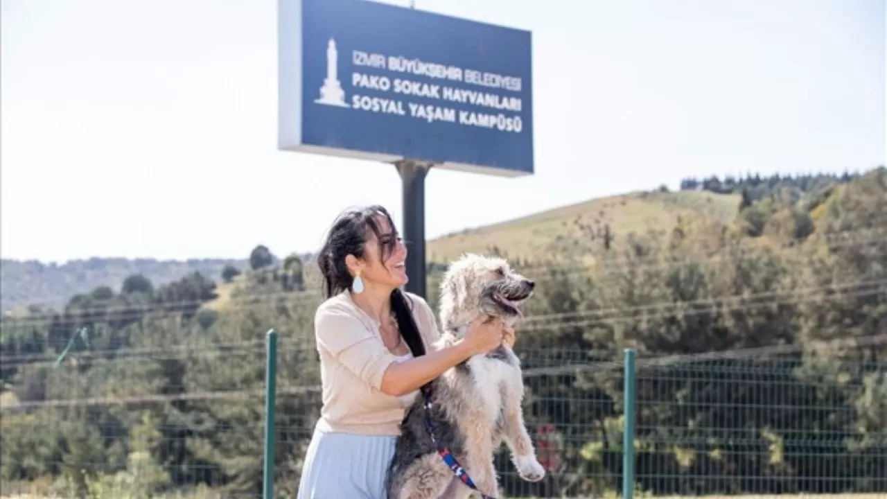 İzmir'de Sokak Hayvanları Günü PAKO'da Kutlandı! Hayvanseverler ve Öğrenciler Bir Araya Geldi