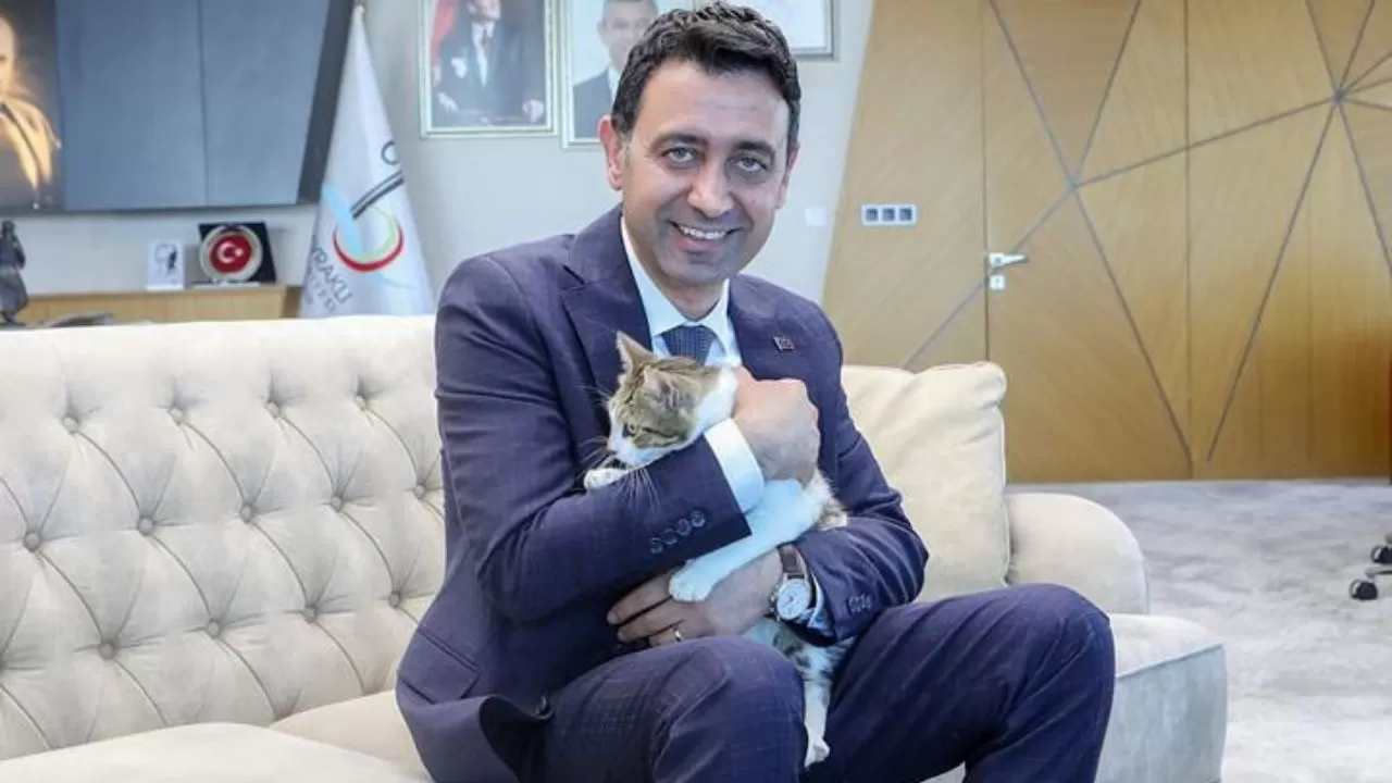 Bayraklı Belediye Başkanı Yaralı Kediden Smyrna Yarattı, Hayvanseverlere Sahiplenme Çağrısı Yaptı!