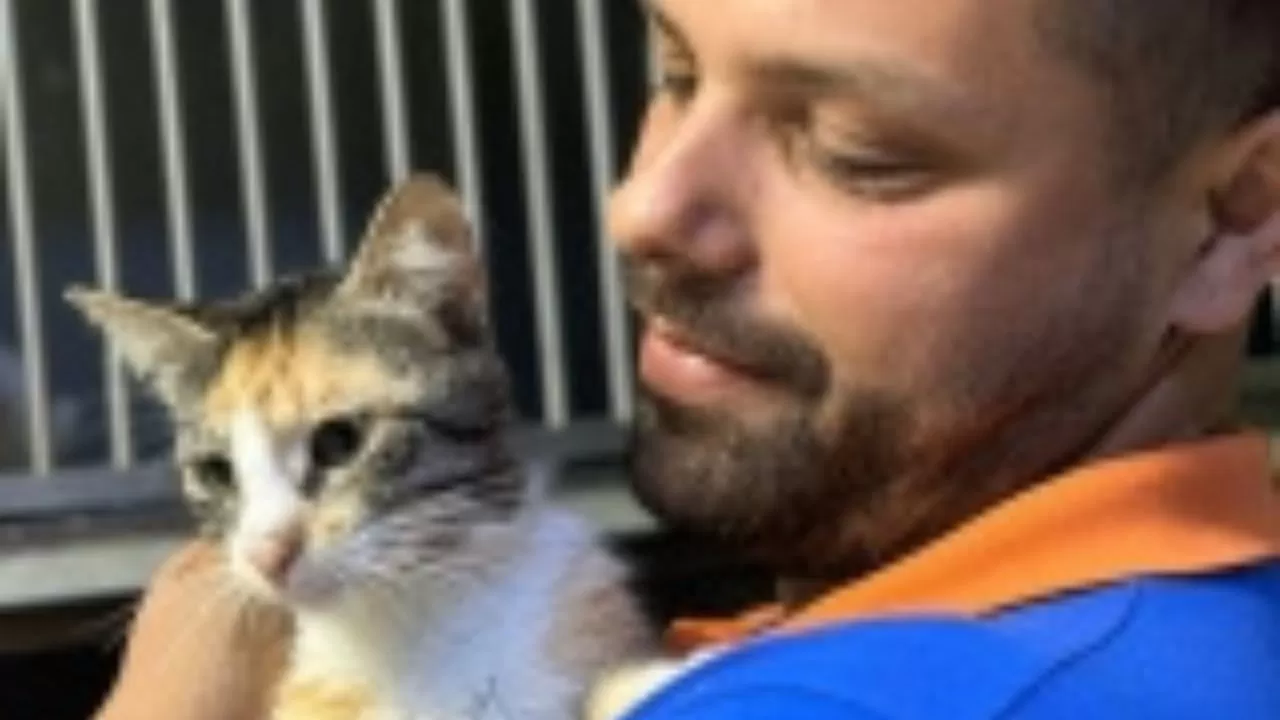 Buca'da Muhteşem Kurtarma! Minik Kediler Cam Geri Dönüşüm Kumbarasından Kurtarıldı!