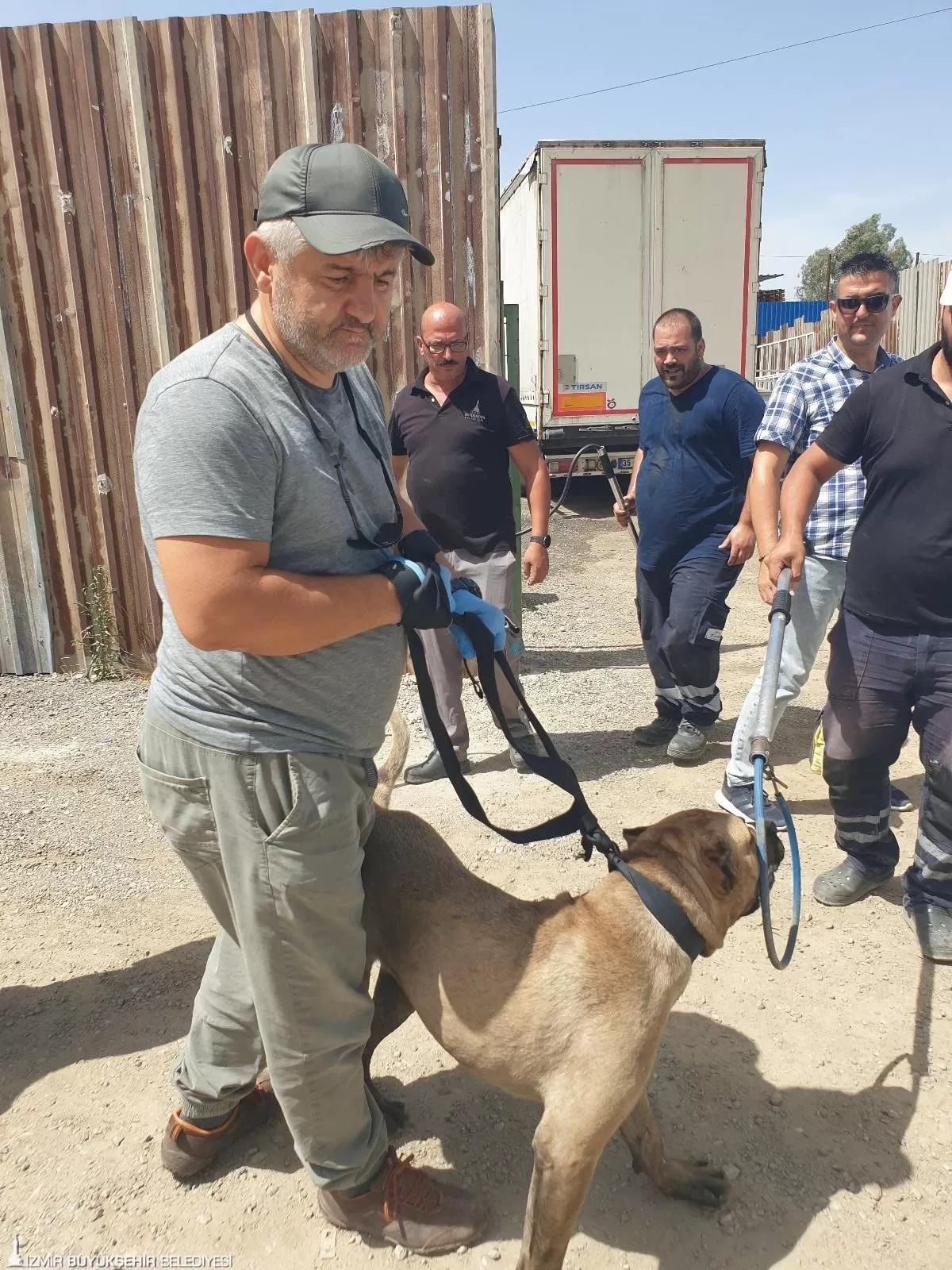İzmir Büyükşehir Belediyesi, Bornova'da çıkan yangında dumana ve yüksek ısıya maruz kalan 139 kedi ve köpeği tahliye ederek Pako Sokak Hayvanları Sosyal Yaşam Kampüsü'ne yerleştirdi