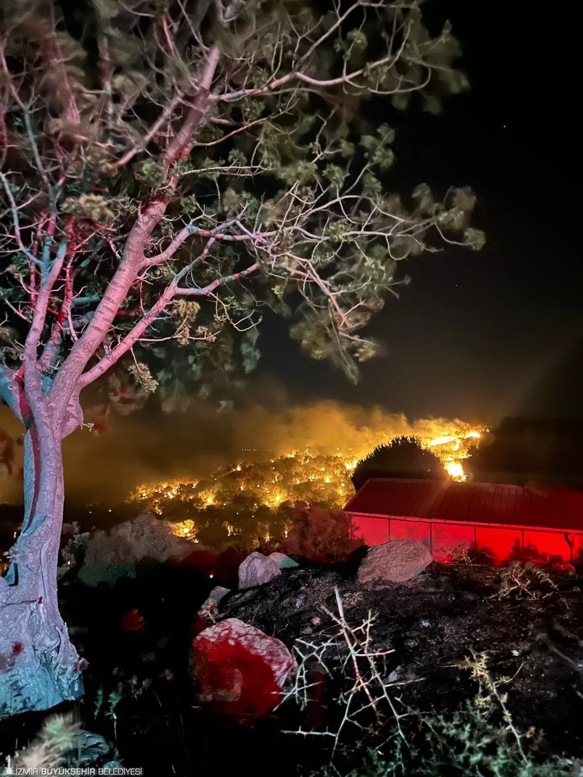 Dikili'de dün gece saat 23.30 sıralarında Çandarlı ve Denizköy mahalleri arasında çıkan yangın, İzmir İtfaiyesi ve Orman İtfaiyesi'nin yoğun çalışmalarıyla kontrol altına alındı.