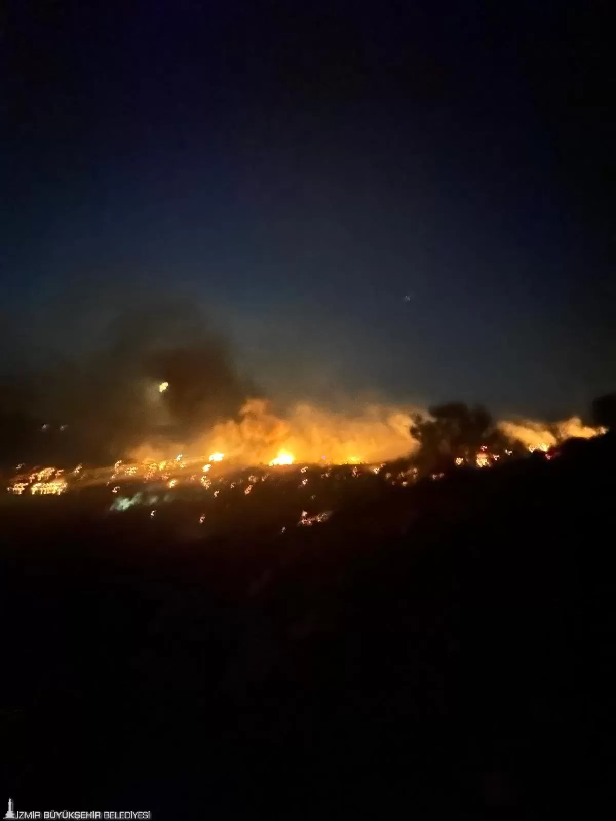 Dikili'de dün gece saat 23.30 sıralarında Çandarlı ve Denizköy mahalleri arasında çıkan yangın, İzmir İtfaiyesi ve Orman İtfaiyesi'nin yoğun çalışmalarıyla kontrol altına alındı.