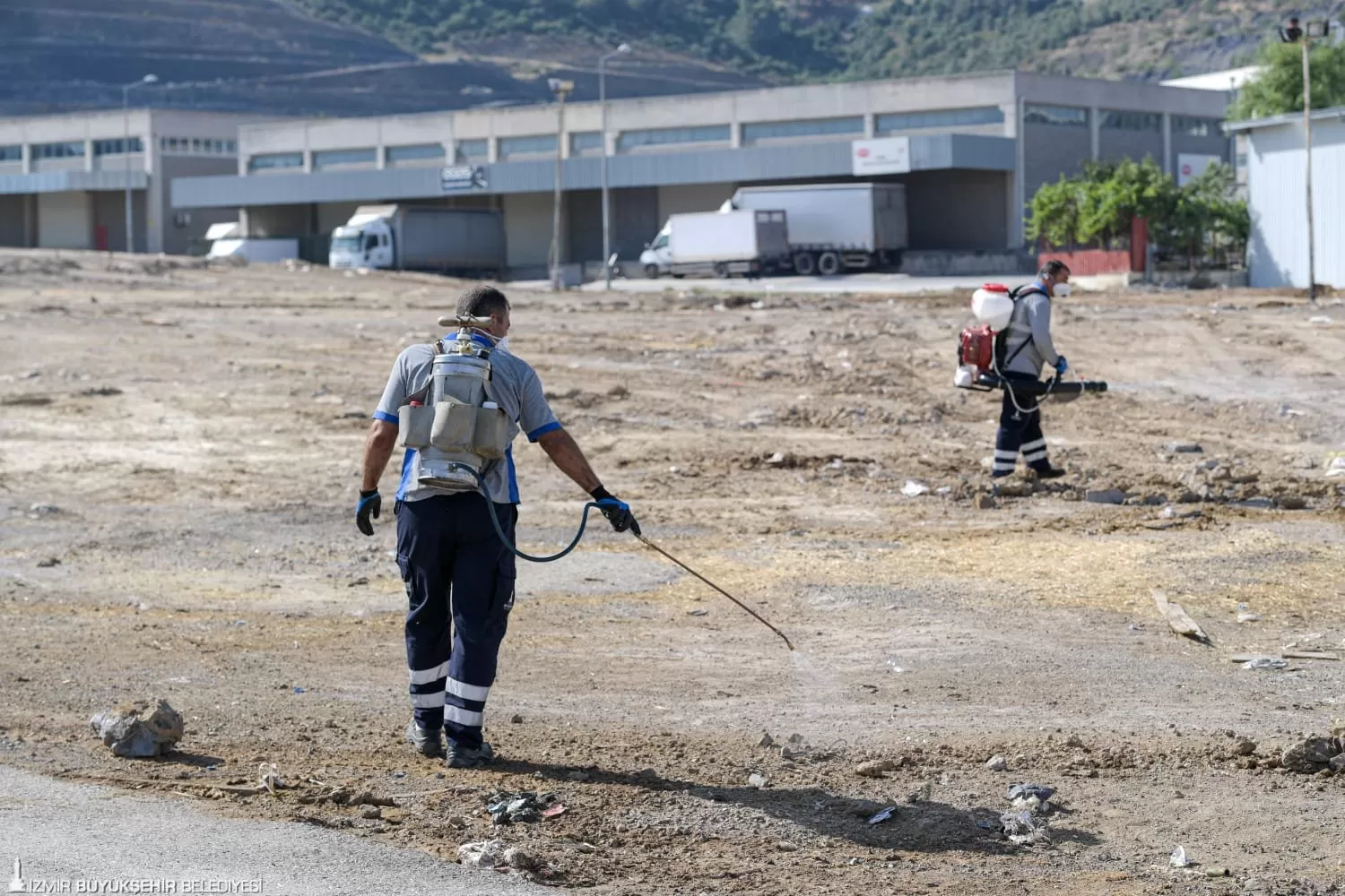 İzmir Büyükşehir Belediyesi ekipleri, Kurban Bayramı'nın ardından kentteki hayvan pazarlarını ve kurban kesim alanlarını titizlikle temizliyor ve ilaçlıyor. 