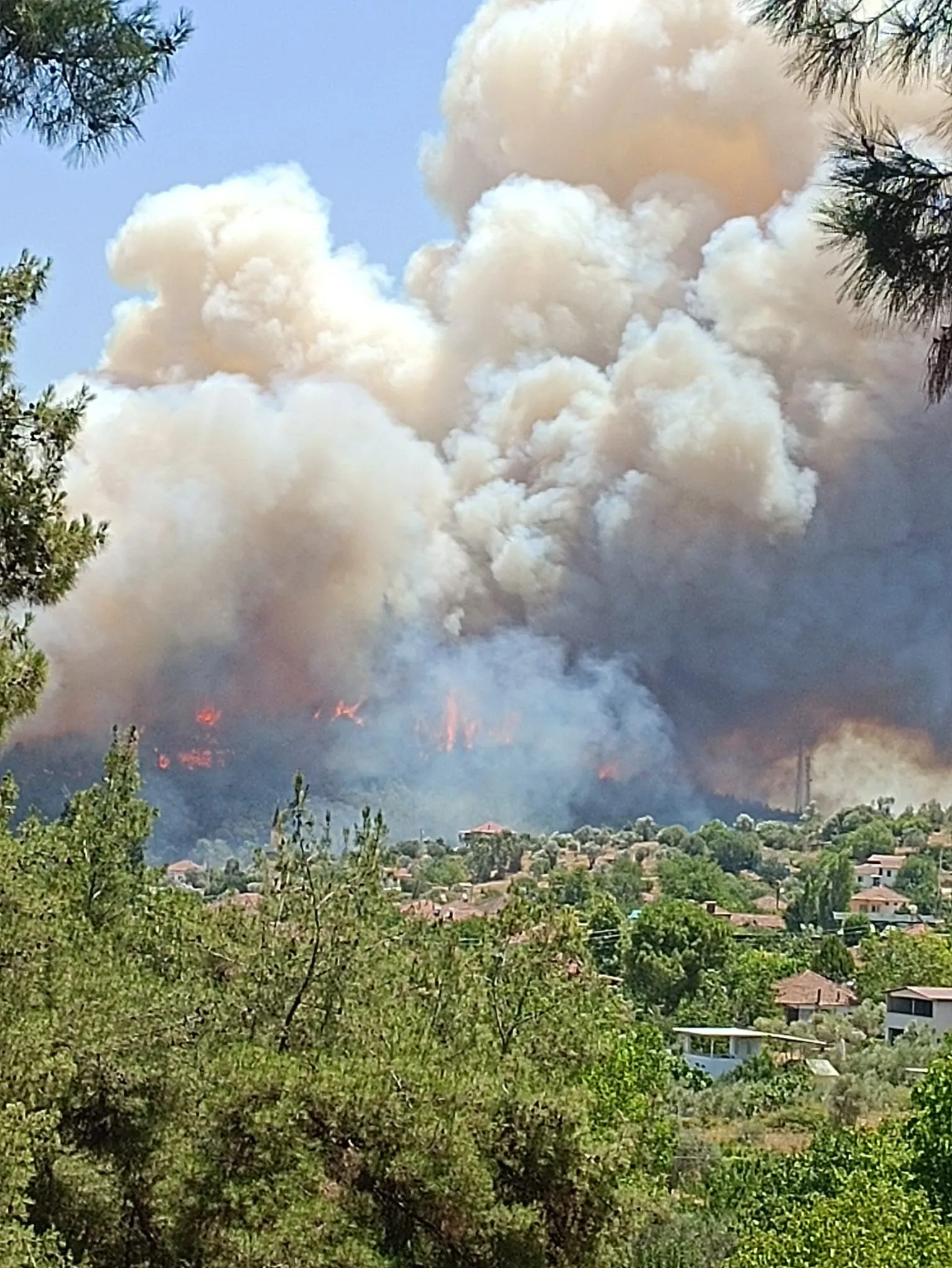 İzmir'in Menderes, Çeşme ve Selçuk ilçelerinde çıkan orman yangınlarına havadan ve karadan müdahale ediliyor. Yangınlar nedeniyle bazı bölgelerde tahliyeler oldu ve yollar trafiğe kapatıldı