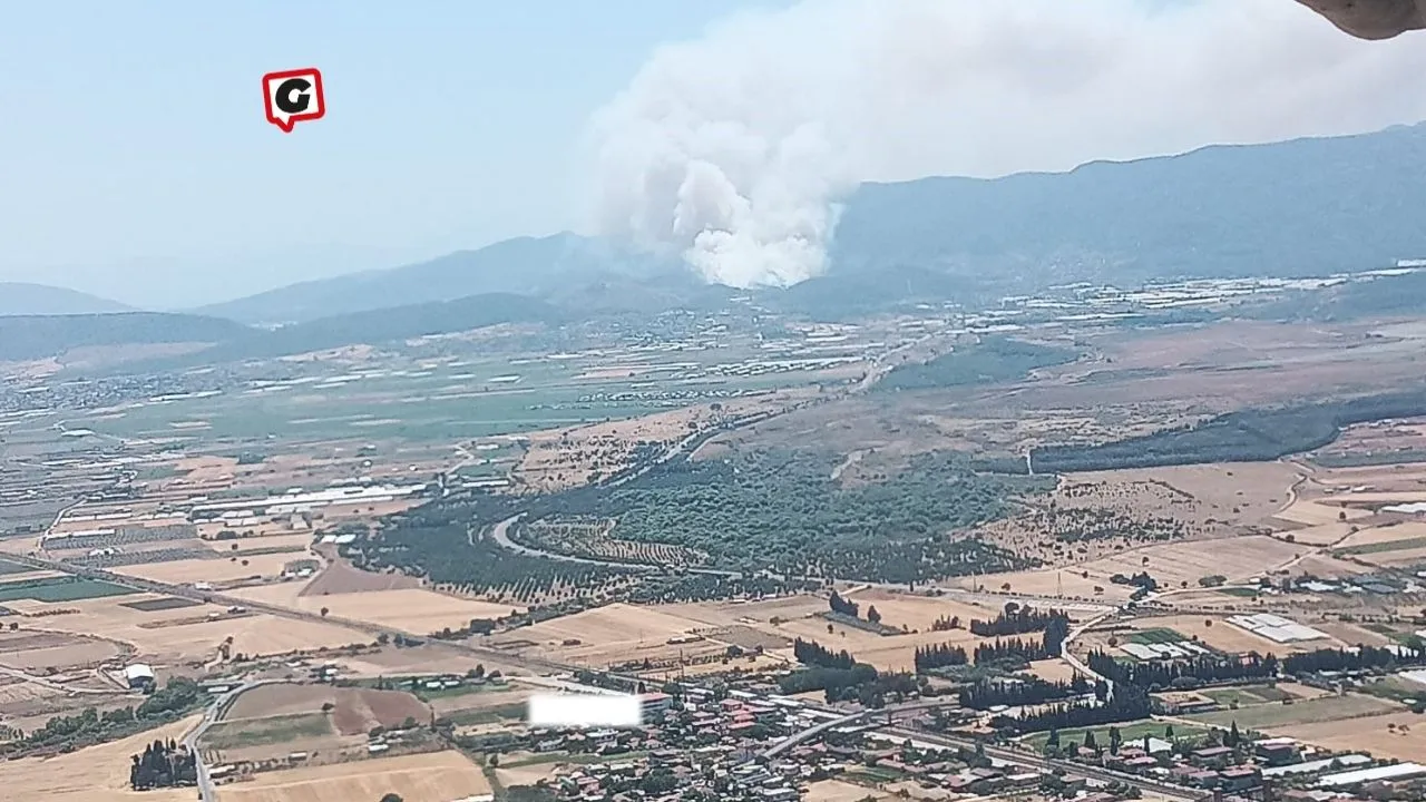 İzmir'de Orman Yangınları: Menderes, Çeşme ve Selçuk'ta Alevler Söndürülmeye Çalışılıyor
