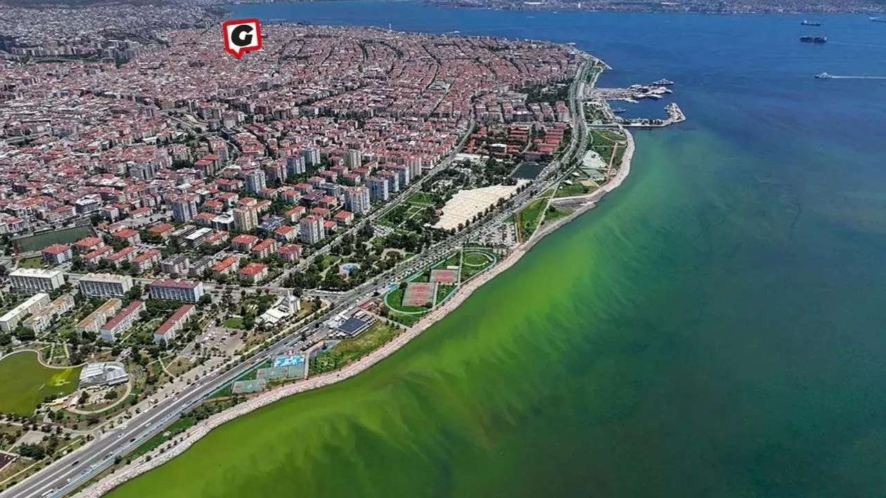 İzmir Körfezi'nde Plankton Patlaması: Denizin Rengi Neden Değişti?
