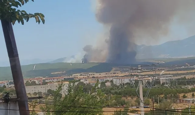 Buca’da orman yangını