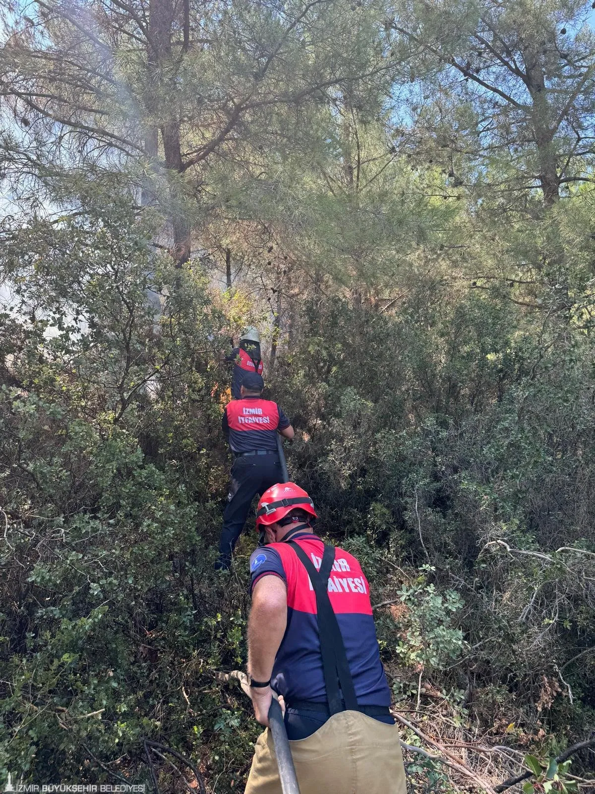  Buca-Gaziemir ve Foça Bağarası'nda çıkan orman yangınlarına İzmir Büyükşehir Belediyesi İtfaiye Dairesi Başkanlığı ve İzmir Orman Bölge Müdürlüğü ekipleri müdahale ediyor.