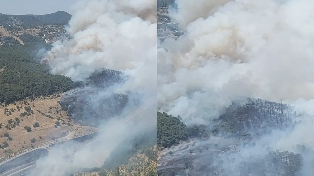 İzmir’de orman yangını: Sabuncubeli Tünelleri trafiğe kapandı