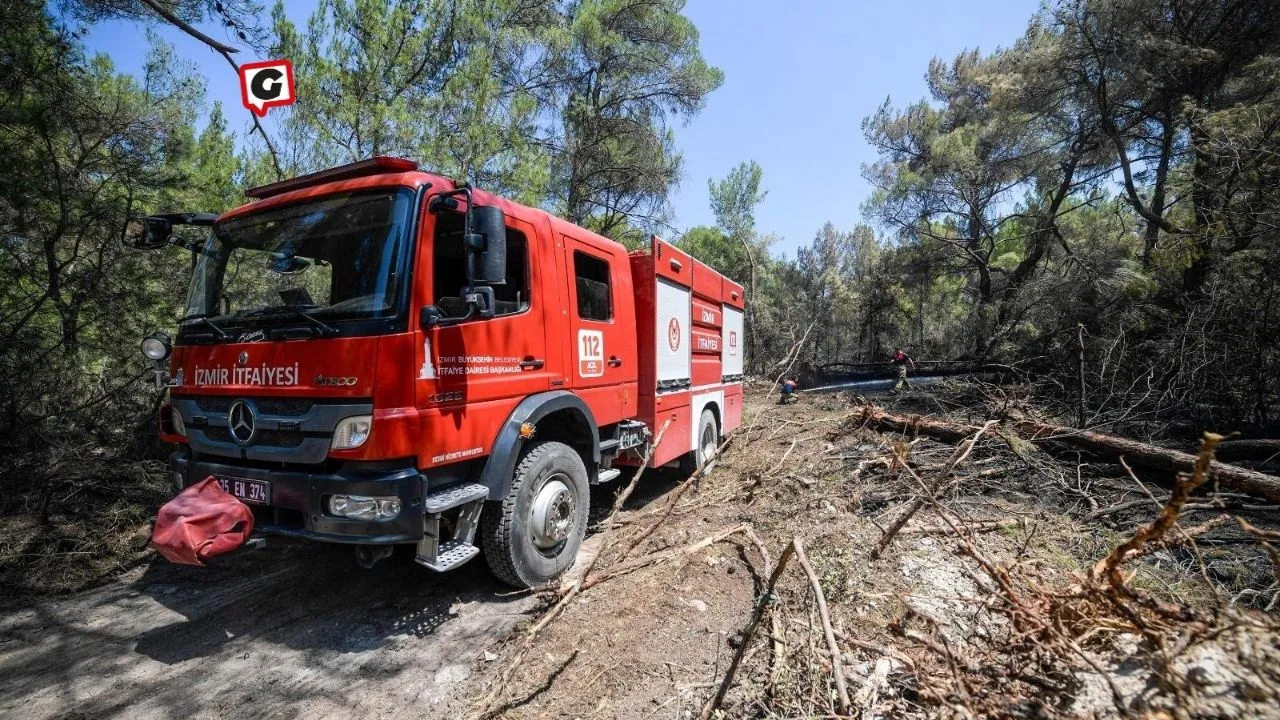 İzmir’de Orman Yangınlarıyla Mücadele: İtfaiye Ekipleri Nöbette