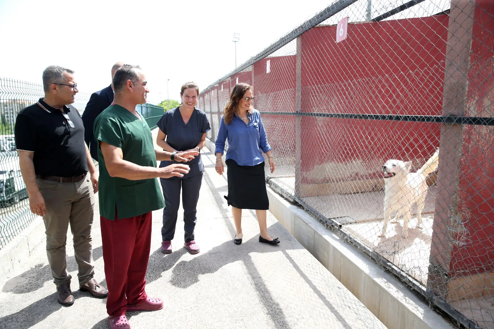 Karşıyaka Belediye Başkanı Yıldız Ünsal, Örnekköy Geçici Köpek Bakımevi’ni ziyaret ederek mevcut şartlar hakkında bilgi aldı ve iyileştirmeler için çalışmalar yapacaklarını belirtti.