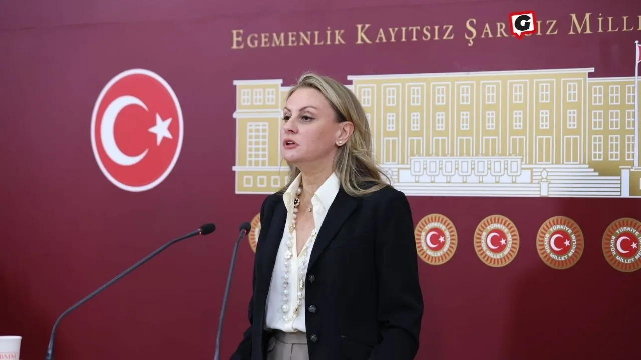 DEVA Partisi'nden Serbest Bölgelerdeki Vergi İstisnası Düzenlemesine Eleştiri