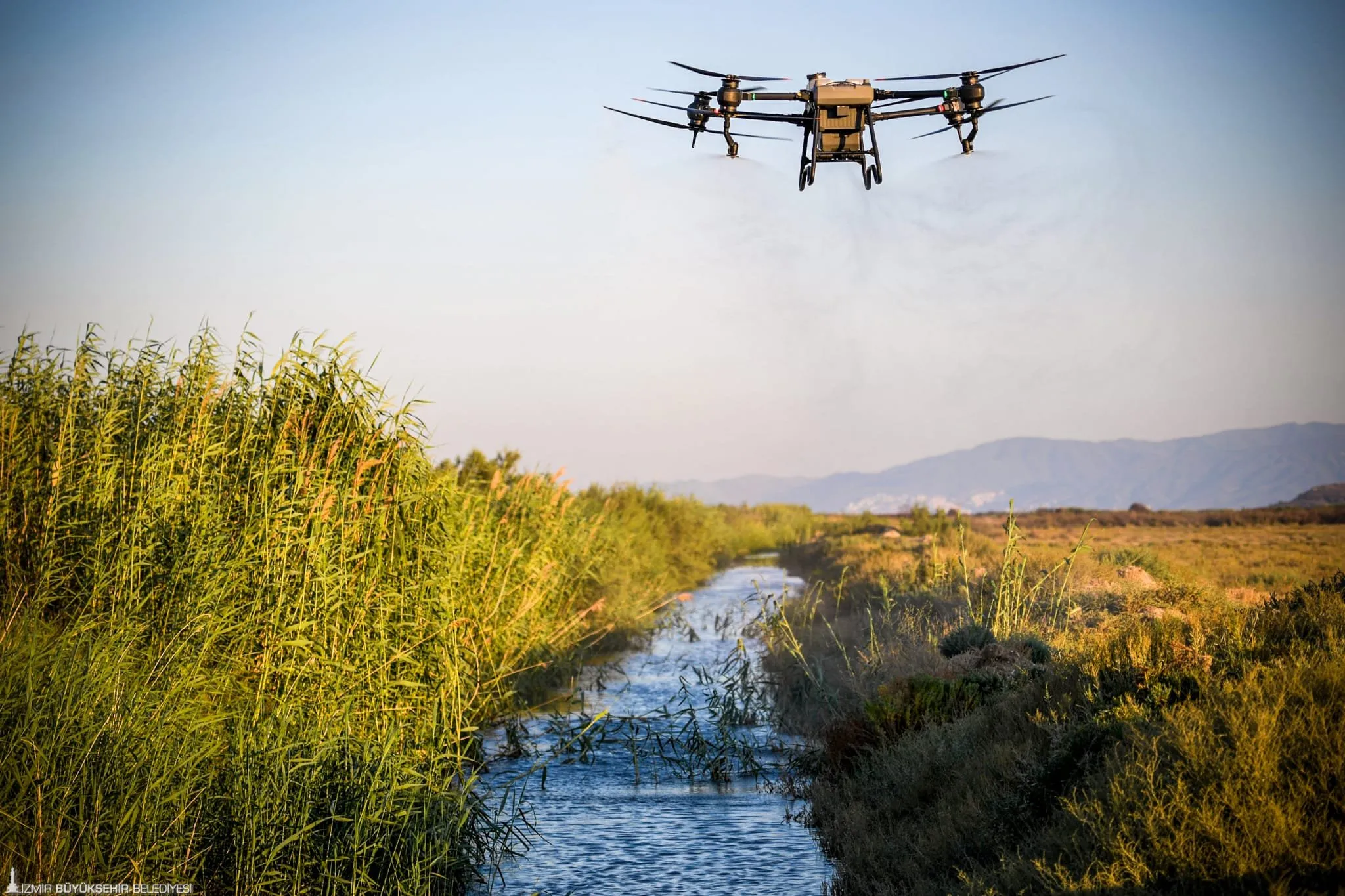 İzmir Büyükşehir Belediyesi, düzensiz yağışlar nedeniyle artan sivrisinek popülasyonuyla mücadele kapsamında drone ile ilaçlama yöntemine başvurdu.