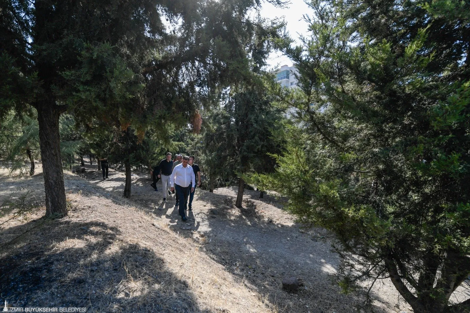 İzmir Büyükşehir Belediye Başkanı Cemil Tugay, yangınların ciddi zarar verdiği Mutluluk Ormanı'nda incelemelerde bulundu. Ağaçların kurtarılması için çalışmalar başlatıldı.