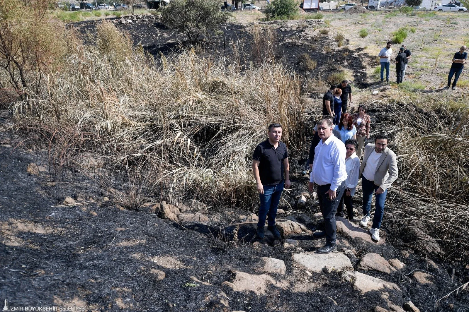 İzmir Büyükşehir Belediyesi, Yamanlar Dağı'nda yaşanan yangının ardından zarar gören 15 bin ağacı kurtarmak için harekete geçti.