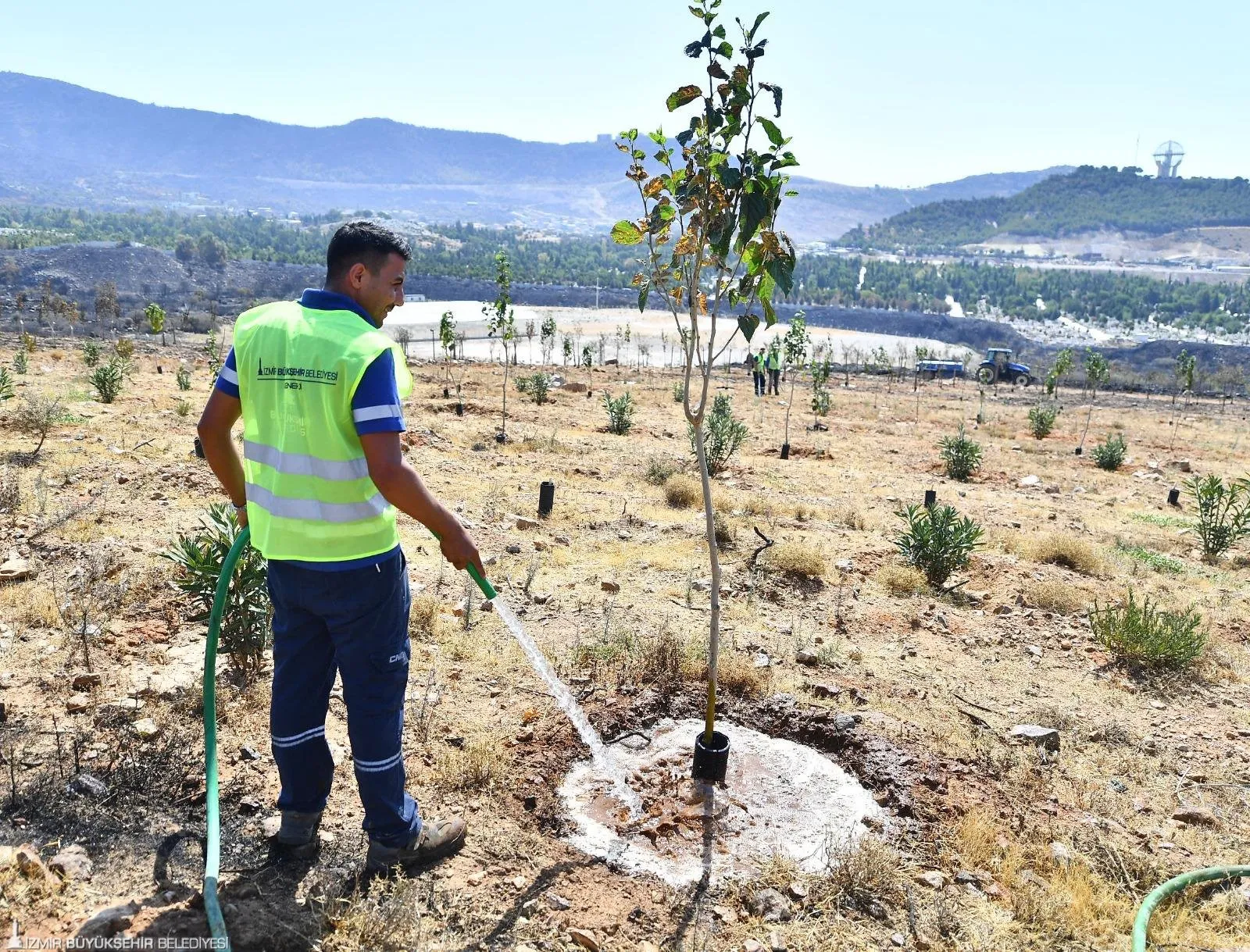 İzmir Büyükşehir Belediyesi, Yamanlar Dağı'nda yaşanan yangının ardından zarar gören 15 bin ağacı kurtarmak için harekete geçti.