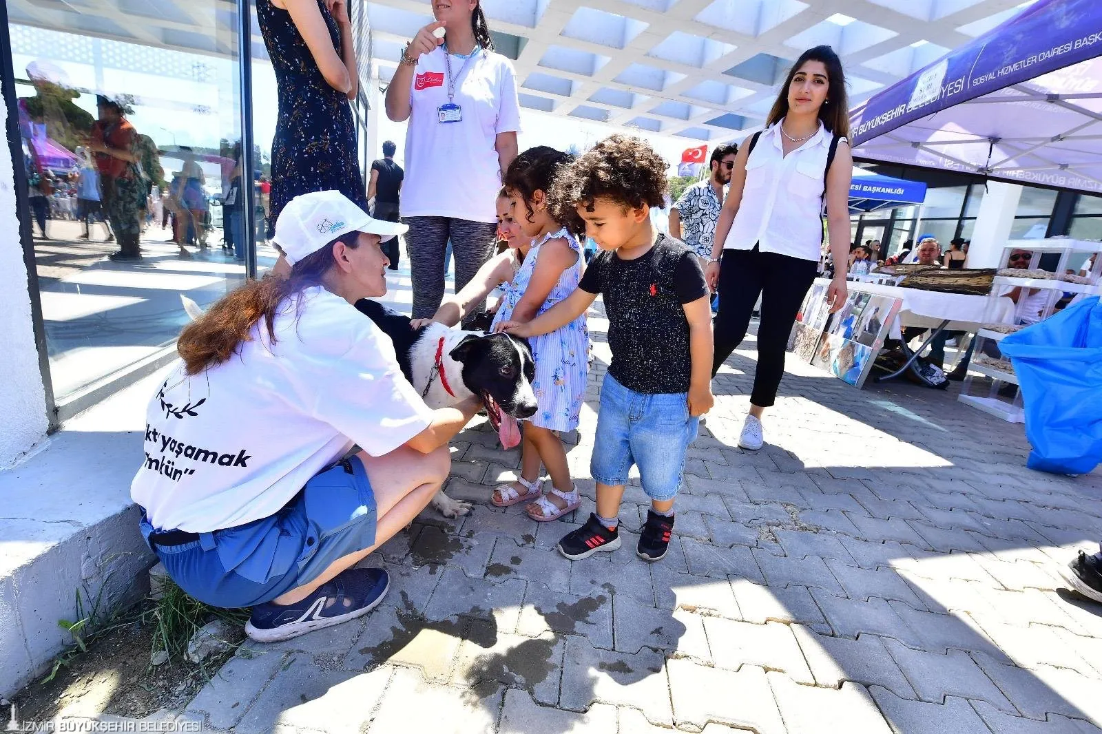 İzmir Büyükşehir Belediyesi,2023 yılında 95 bin sahipsiz kedi ve köpek kısırlaştırılarak sokak hayvanı popülasyonu kontrol altına alındı. 