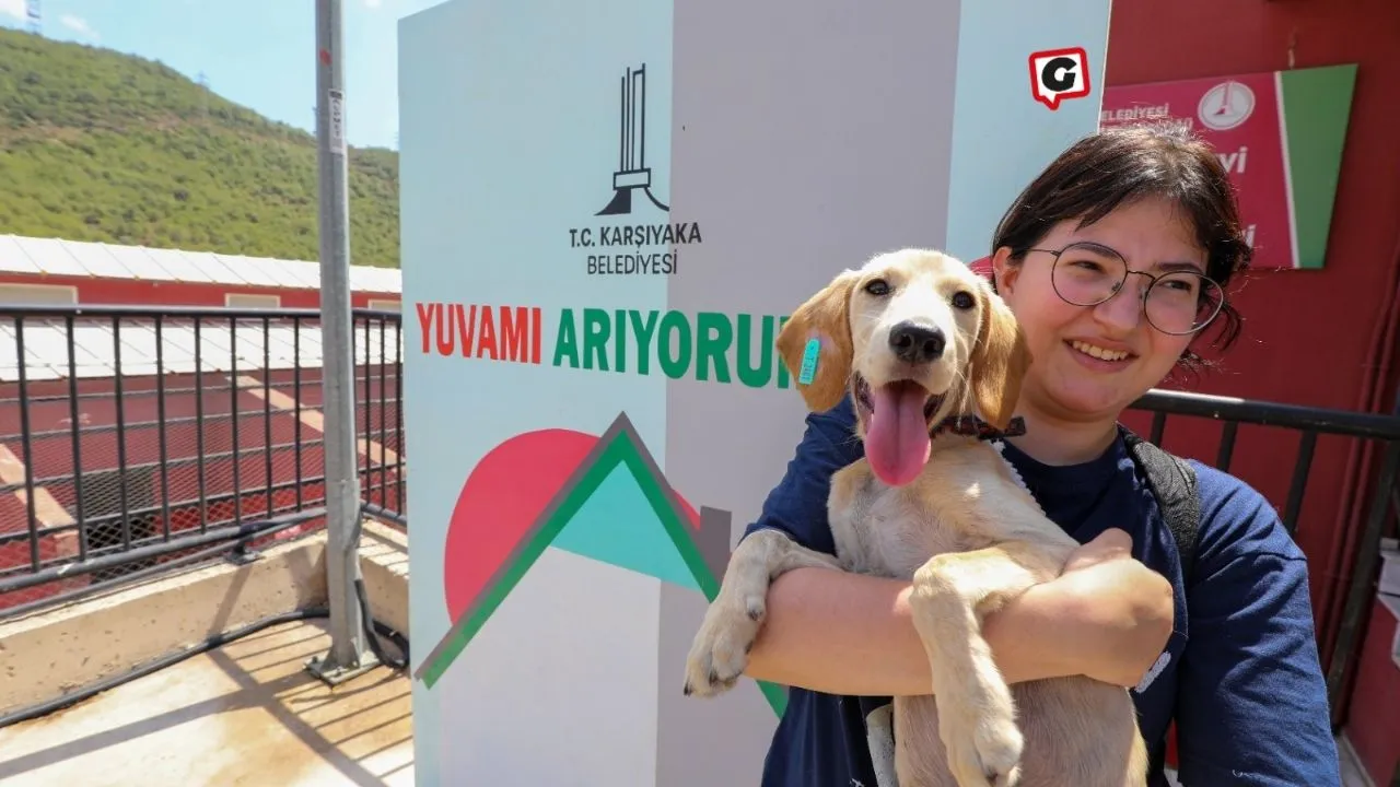 Karşıyaka Belediyesi Sokak Hayvanlarını Yaşatmak İçin Seferber Oldu