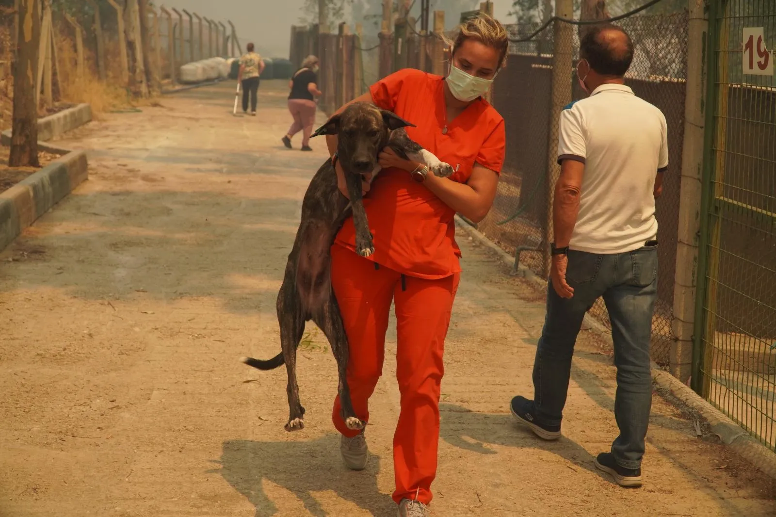 Yamanlar Dağı'ndaki orman yangını sırasında Karşıyaka Belediyesi'ne ait geçici köpek bakımevlerinden tahliye edilen can dostları, İzmir Büyükşehir Belediyesi'nin tesislerinde koruma altına alındı.