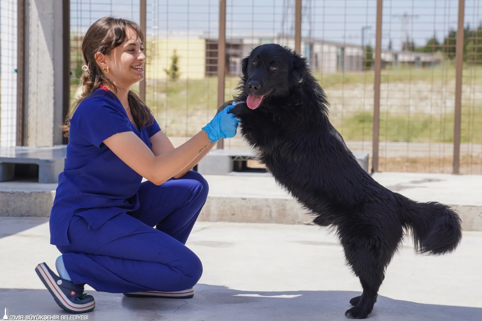 İzmir Büyükşehir Belediyesi, sokakta yaşayan sahipsiz hayvanlar için kapsamlı bir eylem planı hazırladı. Şehir 6 bölgeye ayrılarak, köpeklerin sayısı bilimsel yöntemlerle belirlenecek.