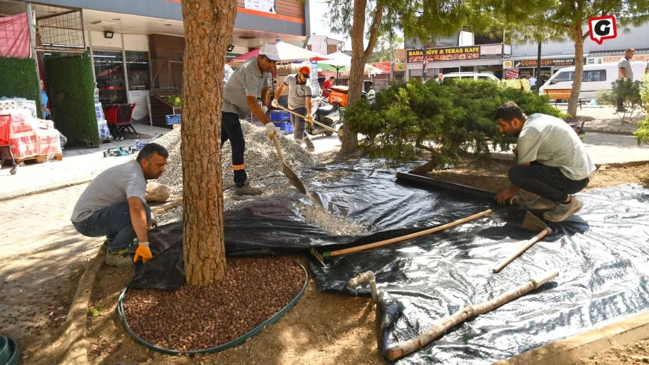 Karabağlar'da Su Tasarrufu İçin Kurakçıl Peyzaj Devrimi