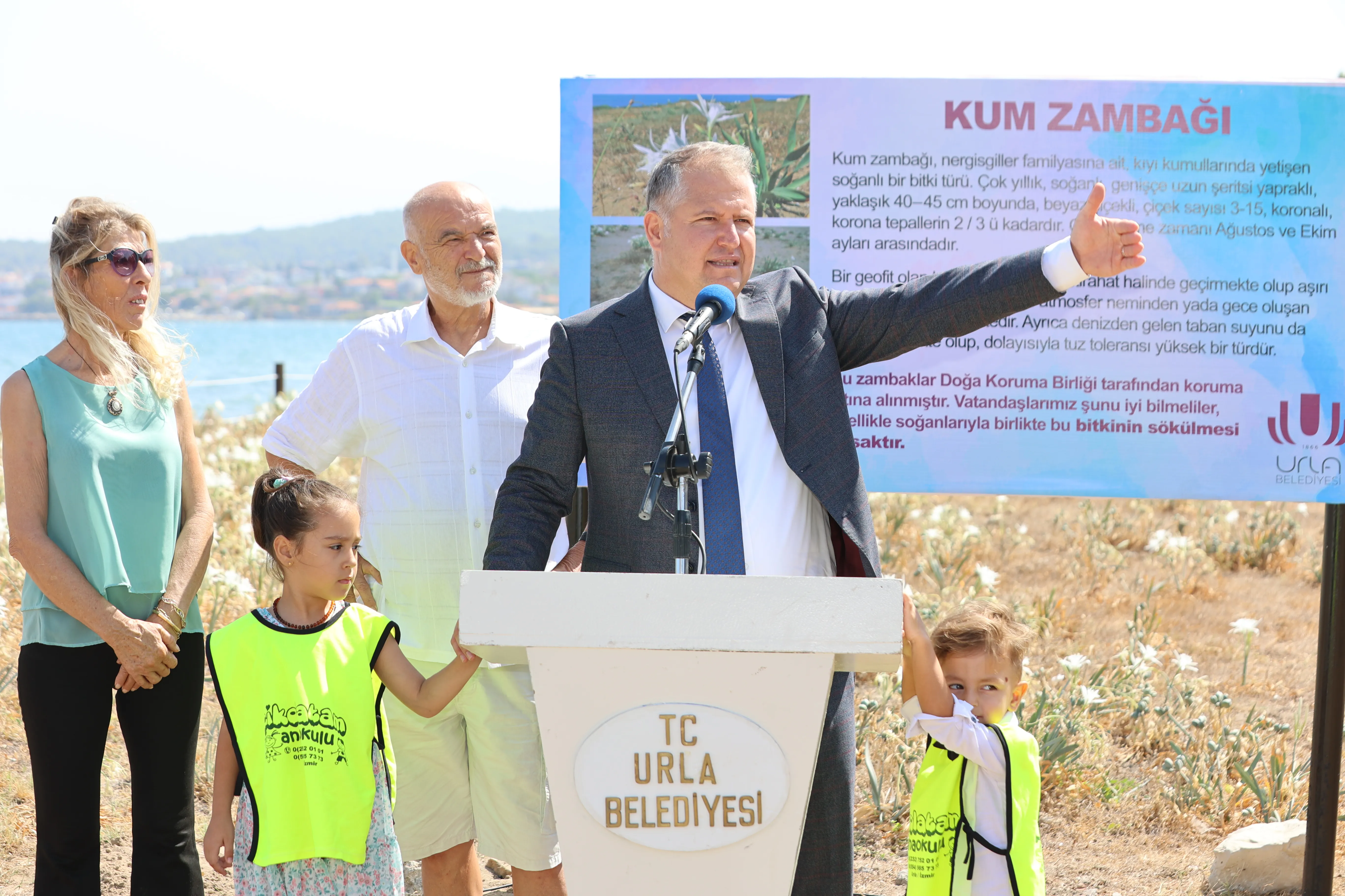 Türkiye'de sadece üç yerde yetişen kum zambakları, Urla'da koruma altına alındı. Urla Belediyesi, bu nadide bitkinin neslinin tükenmesini önlemek için önemli bir adım attı.